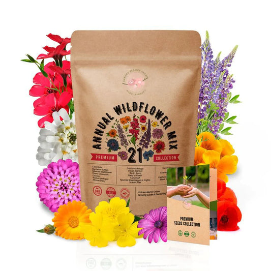 Premium Flower seeds